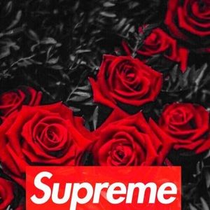 Meet your Posher, Bubba